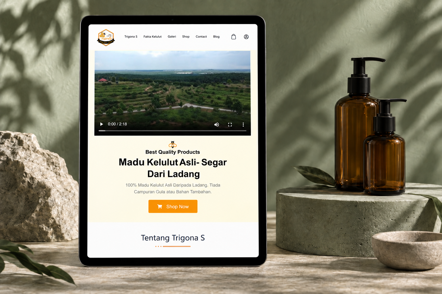 Website ecommerce Trigona S dipaparkan pada iPad